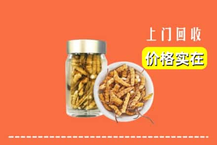 收购资讯:青岛市莱西回收散虫草