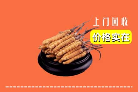 青岛市莱西回收冬虫夏草