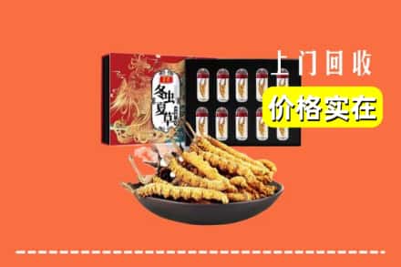 青岛市莱西回收虫草